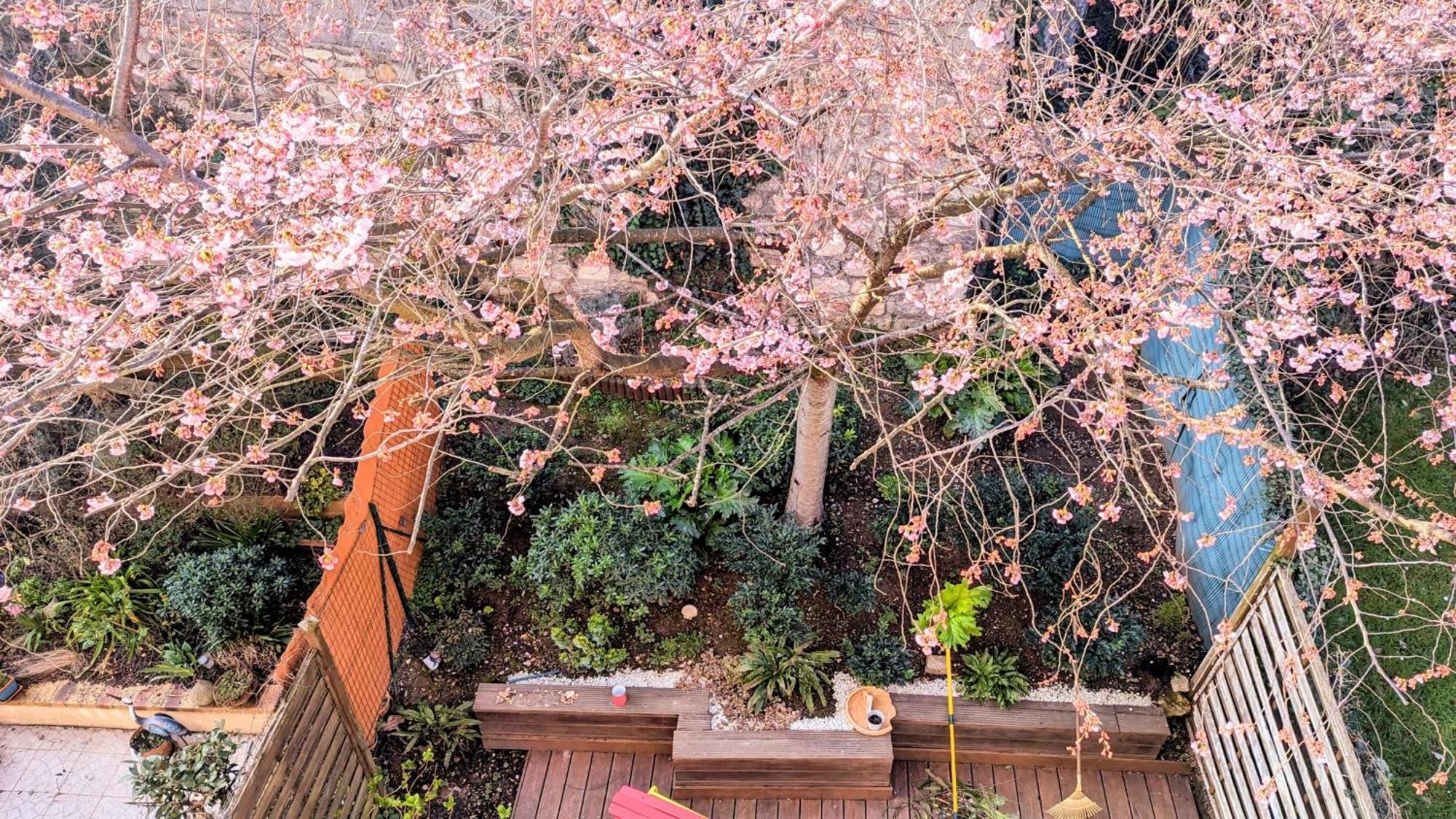 ジャンティイMaison Avec Jardin Au Sud De Parisアパートメント エクステリア 写真